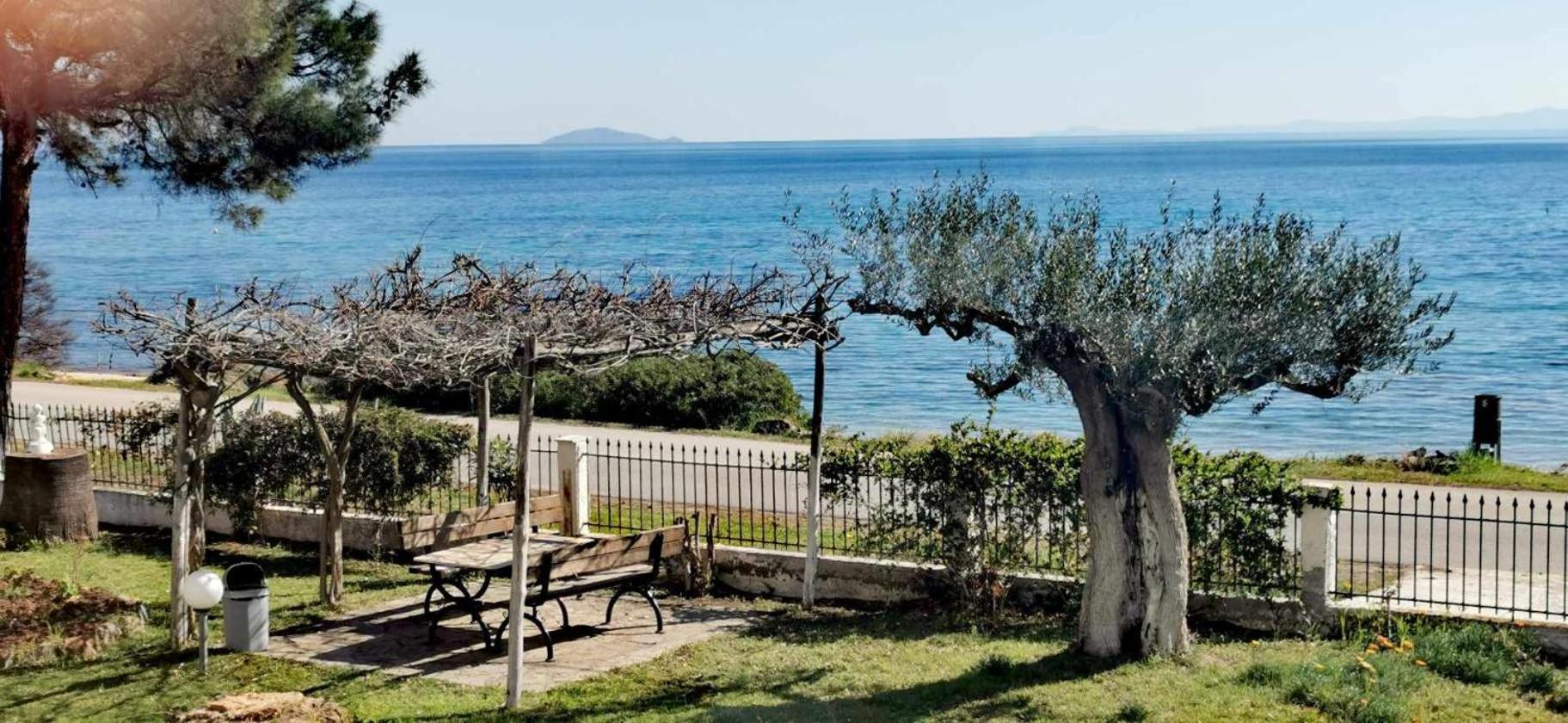 Metamorphosis - Halkidiki Apartment On The Beach Metamorfosi  Ngoại thất bức ảnh